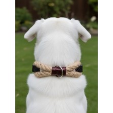 Balkonda Köpek Boyun Tasması Ayarlanabilir Küçük, Orta ve Büyük Irk Halat & Deri