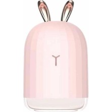 Die Grup LED Işıklı Hava Nemlendirici Buhar Makinesi Dekoratif Aromaterapi DIEGRP-RSKRGLT34