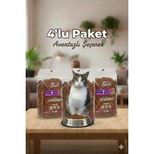 Felicia Az Tahıllı Hypoallergenic Tavuklu Yavru Kedi Maması 4x1 kg
