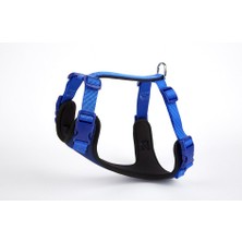 Bilfold Yumuşak Softlu Köpek Göğüs Tasması 45/55 cm Mavi
