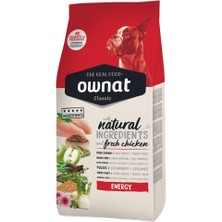 Ownat Classic Energy Adult Tavuklu Köpek Maması, 12 kg