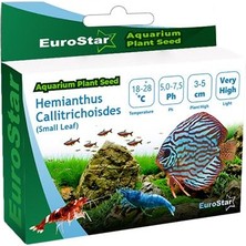 Eurostar Hemianthus Callitrichoides Akvaryum Bitkisi Tohumu