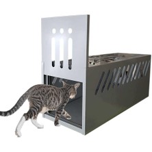 Yeni Model Daha Etkili Kedi Canlı Yakalama Kapanı