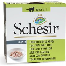 Vento Store Jelly Ton Balığı ve Mahi Mahi Balığı Jöle Içinde Yetişkin Kedi Konservesi 85G