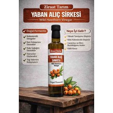 Ziraat Tarım Yabani Alıç Sirkesi 500 ml