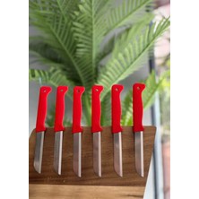 Solingen 6'lı Mat Meyve Bıçağı