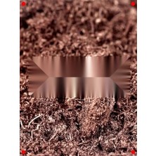 Calperia Preum Sphagnum Bitki Torfu - 1 Lt (Böceksiz)