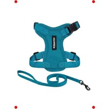 Calperia Ayarlanabilir Kedi Tasması & Gezdirme Seti - Turkuaz