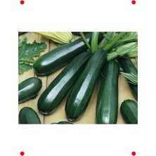 Calperia Doğal Sofralık Kolsuz Kara Kabak Tohumu