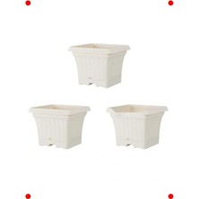 Calperia Tabaklı Balkon Saksısı 3 Adet Pastel Beyaz 2.2 Litre
