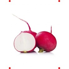 Calperia Iri Kırmızı Turp Tohumu (Çoklu Paket, 10 Gram)