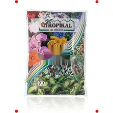 Calperia Nel Amaçlı Saksı Toprağı (10 Litre)