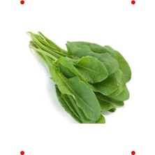 Calperia Kuzu Kulağı Tohumu (5 Gr)