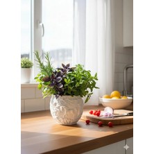 Premium Kabartma Detaylı Sanatsal Saksı - Sukulent ve Mini Çiçekler Için Dekoratif Obje