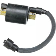 Bajaj Pulsar Ns 200 Ateşleme Bobini Euro4