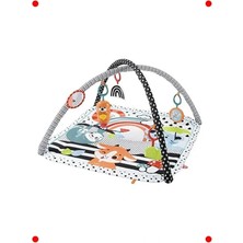 Calperia 3'ü 1 Arada Hvan Temalı Jimnastik Merkezi