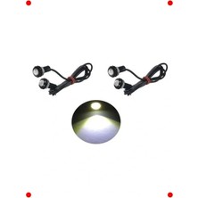 Calperia 4 Adet Beyaz  Gözü Dalı Gündüz Ledi