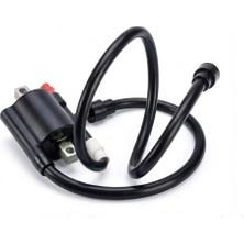 Bajaj Pulsar Rs 200 Ateşleme Bobini Sol Euro 4