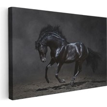 Tablofest Yatay Kanvas Tablo Kaslı Siyah Aygır At Tablosu Ev Ofis Duvar Dekoru