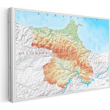 Tablofest Yatay Kanvas Tablo Sinop Coğrafi Yapı Harita Tablosu Ev Ofis Duvar Dekoru