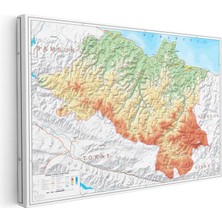 Tablofest Yatay Kanvas Tablo Ordu Doğal Oluşum Harita Tablosu Ev Ofis Duvar Dekoru