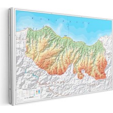 Tablofest Yatay Kanvas Tablo Trabzon Coğrafi Yapı Harita Tablosu Ev Ofis Duvar Dekoru