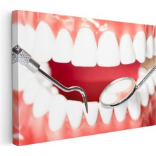 Tablofest Yatay Kanvas Tablo Diş Eti Muayenesi ve Ayna Diş Hekimi Tablosu Ev Ofis Duvar Dekoru