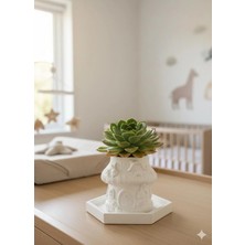 Sevimli Tavşanlı Mantar Ev Tasarım Saksı - El Yapımı Dekoratif Obje