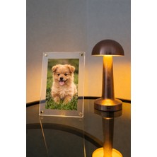 Mıknatıslı Şeffaf Pleksi Fotoğraf Çerçevesi – Modern Dekoratif Tasarım