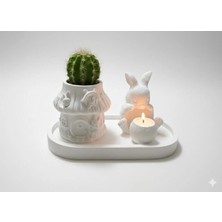 Tavşan Figürlü ve Mantar Ev Tasarımlı 3’lü Dekoratif Obje Seti