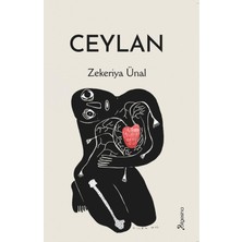 Bilgesina Yayınları Ceylan