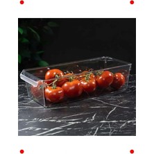 Calperia Pet Orta Boy Buzdolabı Düzenleyici Saklama Kutusu