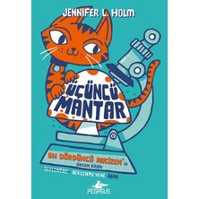 Hatıra Kutusu Üçüncü Mantar