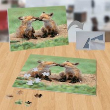 Asilmeydan Koklaşan Tilkiler, Hayvan, Doğa 99 Parça Puzzle Yapboz-p134