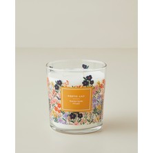 English Home Poetic Lily Kokulu Mum 270 G Şeffaf