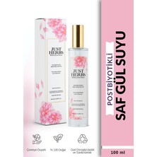 Just Herbs Postbiyotikli Gül Suyu 100 ml %100 Saf ve Doğal Pure Rose Water With Posbiotics