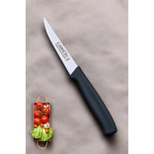 Erinox Dişli / Tırlıklı Sebze Bıçağı 21 cm