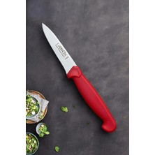 Erinox Sivri Sebze Bıçağı 23 cm 1 No Ş Seri