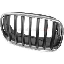 TŞT Bmw X5 Ön Panjur Nikelaj Sıyah Sağ 2007  (Oem No:  51137157688)