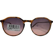 Swing SS296-49-20-135-C610-POLARIZE Güneş Gözlüğü