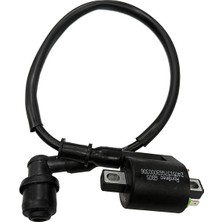 Rmg Santa 125 Dış Bobin Euro 5