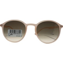 Swing SS286-C501-49-20-145 Güneş Gözlüğü