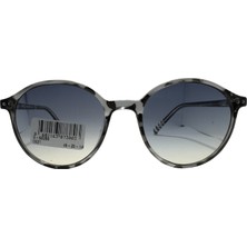 Swing SS288-49-20-140-C621 Güneş Gözlüğü