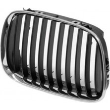 TŞT Bmw 5 Serisi Ön Panjur Sağ 1997-2002 (Oem No:  51138159316)