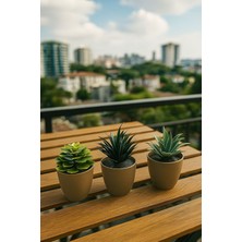 “3’lü Yapay Saksılı Sukulent – Ev & Ofis Dekoratif Çiçek”