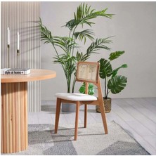Ukbe Sofa Hazeranlı Ahşap Zion Salon ve Mutfak Sandalyesi