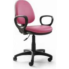 Fonksiyoner Novıa Deri Çalışma Koltuğu/pp Ayaklı-pembe