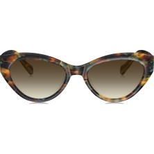 Bolon BL3168-A22 Güneş Genç Kadın Çekik Çerçeveli Asetat UV400