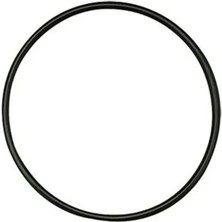 Amway Filtre Tutucu O-Halkası Espring Doğalmarketin