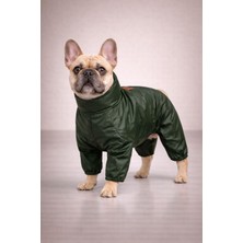 Alphadog Pine Polarlı Küçük Irk Köpek Yağmurluk Tulumu